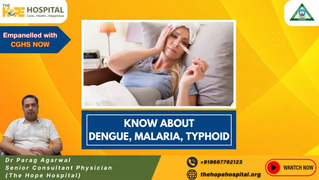 All about Dengue Malaria Typhoid